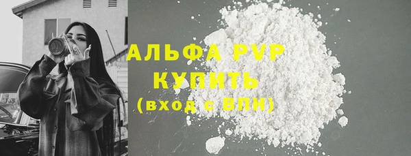 сатива Аркадак