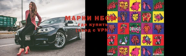сатива Аркадак
