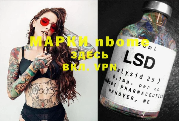 сатива Аркадак