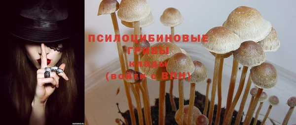 кокс Армянск