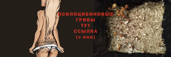 сатива Аркадак
