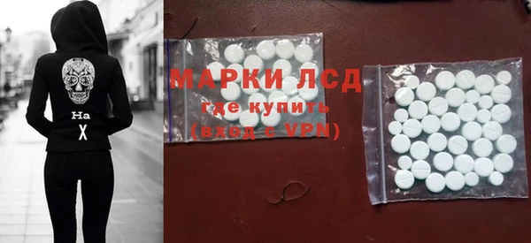 сатива Аркадак