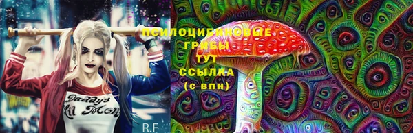 мдпв Бикин