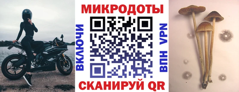 Псилоцибиновые грибы прущие грибы  кракен вход  Всеволожск 